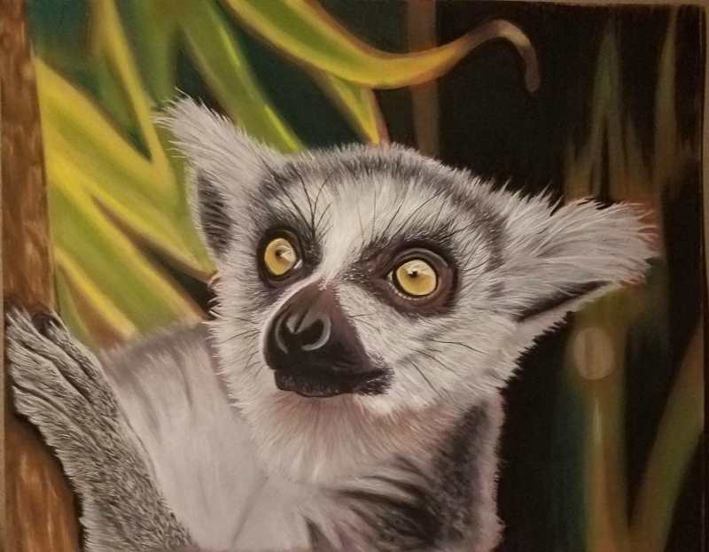 Curious Lemur by artist Ricardo Robles